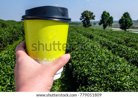 Drink a cup of tea in tea plantation under the blue sky and sunshine day.