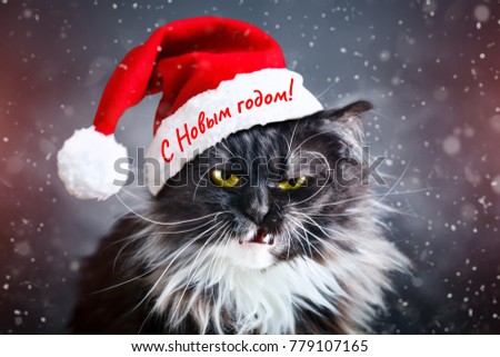 Happy new year. New Year's cat in a Christmas hat. New.