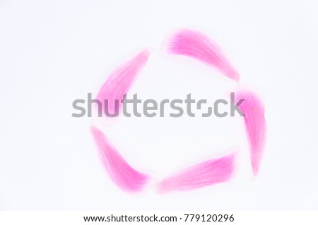arrange of pink petal of hibiscus flower for circle picture in white background