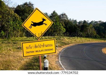Beware deer crossing the road sign isolated on blue sky