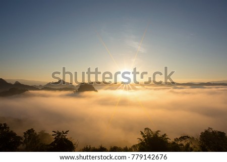 Forrest mountain slope in low lying cloud with the evergreen conifer shrouded in mist in scenic landscape Thailand view.