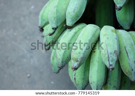 Bunch of green bananas