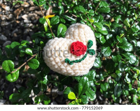 Embroidery red rose flower on crochet heart in the garden, love concept, Valentine's day