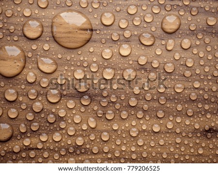 Selective focus on Fresh clear clean water round droplets that were sprayed on wooden surface. 