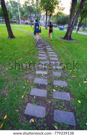 stone walkway in the outdoor green garden