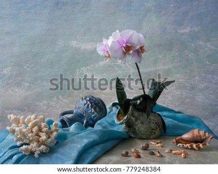 Still life with orchid flowers
