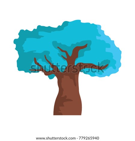 Beautiful winter tree. Vector illustration of winter tree icon for web isolated on white background. Nature design object.
