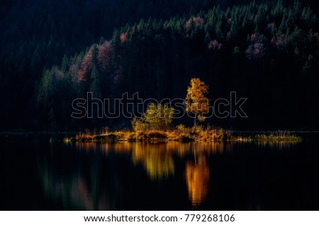 Amazing View on the Eibsee Lake. Scenic image of fairy-tale woodland in sunlit.  fairy-tale woodland on Island Under Sunlight. Unsurpassed sunrise Scene. Bavaria, Germany, Europe. Picture of wild area