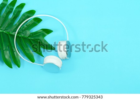 Wireless headphones and green leaves isolated on blue background. 