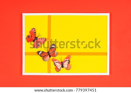 decorative butterflies in a white frame on a colored background