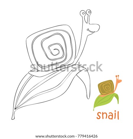 Coloring book animal. Kids coloring pages. snail