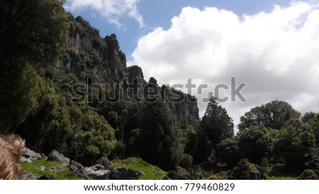 Trollshaw cliffs near Piopio. The area now called Hairy Feet Waitomo was used in "The Hobbit" movies 