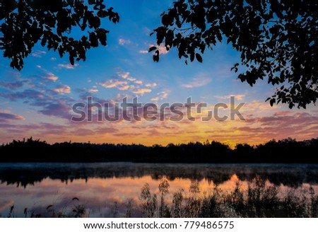 a misty forest pond at sunrise in early winter morning, with golden rays of the sun reflecting on the clouds and calm water, silhouettes of tree leaves and glasses frame the picture.