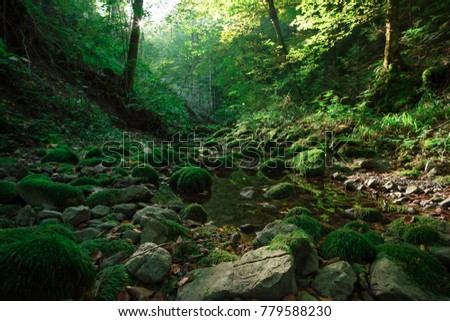 beautiful backdrop with a mountain stream