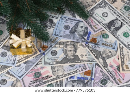 Dollar background christmas, pine tree branches, gift box
