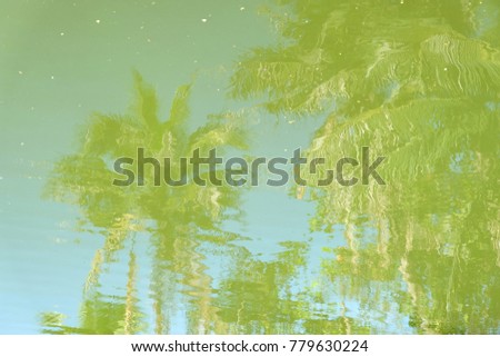 shadow tree in the water