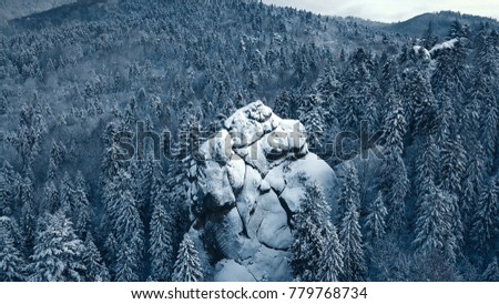 Mountain in the middle of a forest against a blue sky with dramatic heavy clouds. Aerial