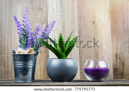 Closeup on Plant and decorative candles with wood in the background. Beauty Spa Health and Wellness concept.