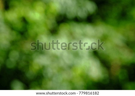 Beautiful nature, green background, round bokeh