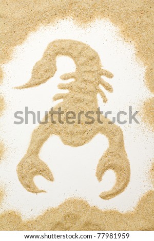 scorpion out of the sand