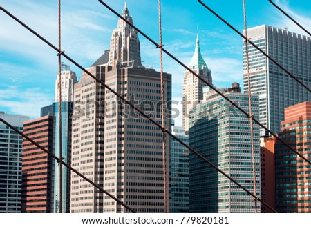 Brooklyn bridge, view from it, the ropes of Brooklyn bridge