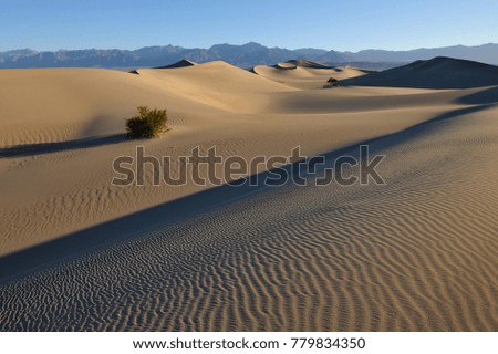 sand dunes, Mesquite Flat, Death Valley, Ca