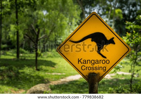 Kangaroo Crossing Sign with green forest background