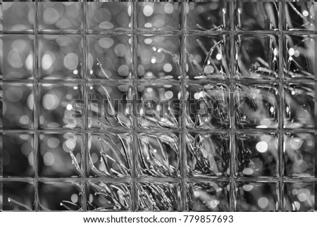 Morning dew on the grass in flowers through window panes, black and white