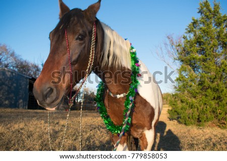 Christmas Horse Portrait