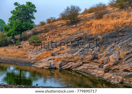 Wetlands of Ranthambore national park, India.