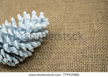White flocked painted large pine cone isolated on burlap. Useful for Christmas and winter holiday backgrounds and banners