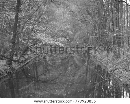 a river at fall, black and white