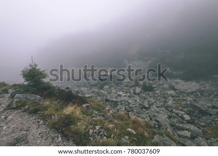 western carpathian mountain tops in  autumn covered in mist or clouds. panoramic view from a distance. tourist hiking trail - vintage film look