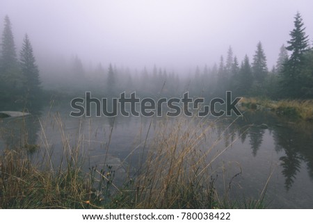 western carpathian mountain tops in  autumn covered in mist or clouds. panoramic view from a distance. mountain lake panorama - vintage film look