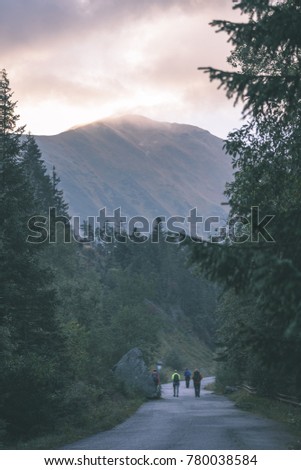 western carpathian mountain tops in  autumn covered in mist or clouds. panoramic view from a distance. tourists hiking on the road - vintage film look