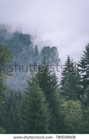 western carpathian mountain tops in  autumn covered in mist or clouds. panoramic view from a distance. autumn colored forests - vintage film look