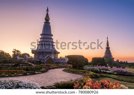 Doi Inthanon, flower garden and sunrise in the morning. Sunlight in the morning very beautiful and refreshing.