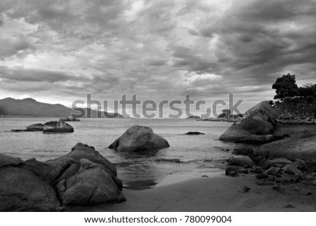 Sea coast in black and white. Picture of nature.