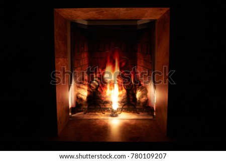 picture in the fireplace