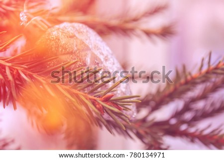 Christmas background cone on a fir-tree with snow and bokeh