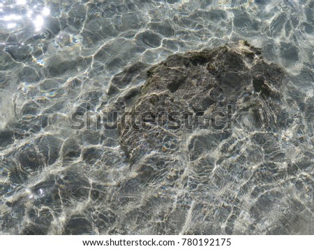 A rock just below the water surface with a lot of wrinkles and a glimmer of sunshine. The water is amazingly clear