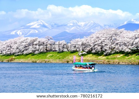Tourist boat and rows of Cherry blossoms or sakura with the snow-covered Zao Mountain in the background along the bank of Shiroishi river in Miyagi prefecture, Japan Royalty-Free Stock Photo #780216172