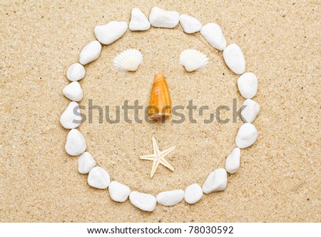 face of shells  on the beach. funny smile