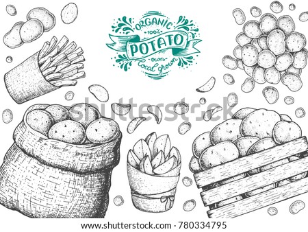 Potato vector illustration. Box and bag of potatoes. French fries, rustic potatoes and chips hand drawn. Engraved style frame. Royalty-Free Stock Photo #780334795
