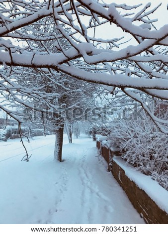 Snow covered  street scene