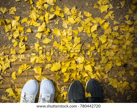 Standing over the yellow leaves, Autumn in Japan
