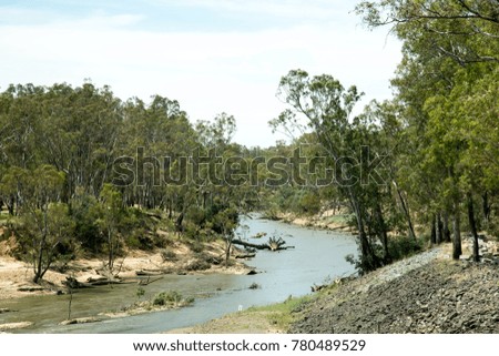 River in the forest surrounded by tall green trees.