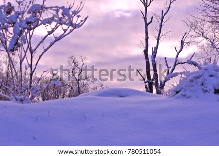 The land of snowy landscape color photo.