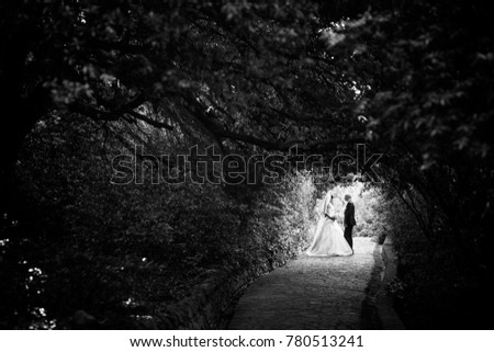 Happy couple. The bride and groom in the park. Wedding day. Black and white photo