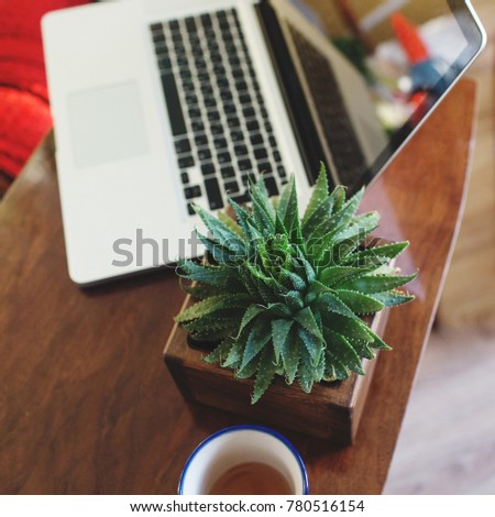 succulent Aloe aristata in a wooden pot stands on a table on a laptop background